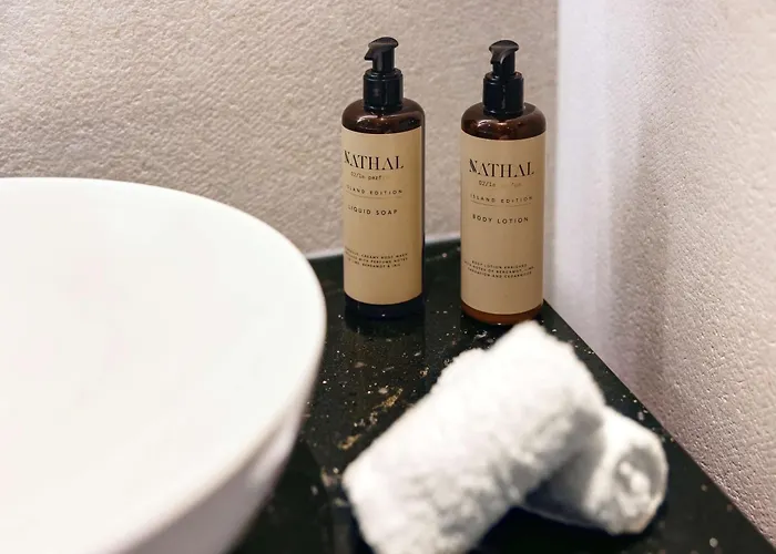 Nh Collection 4* Гент